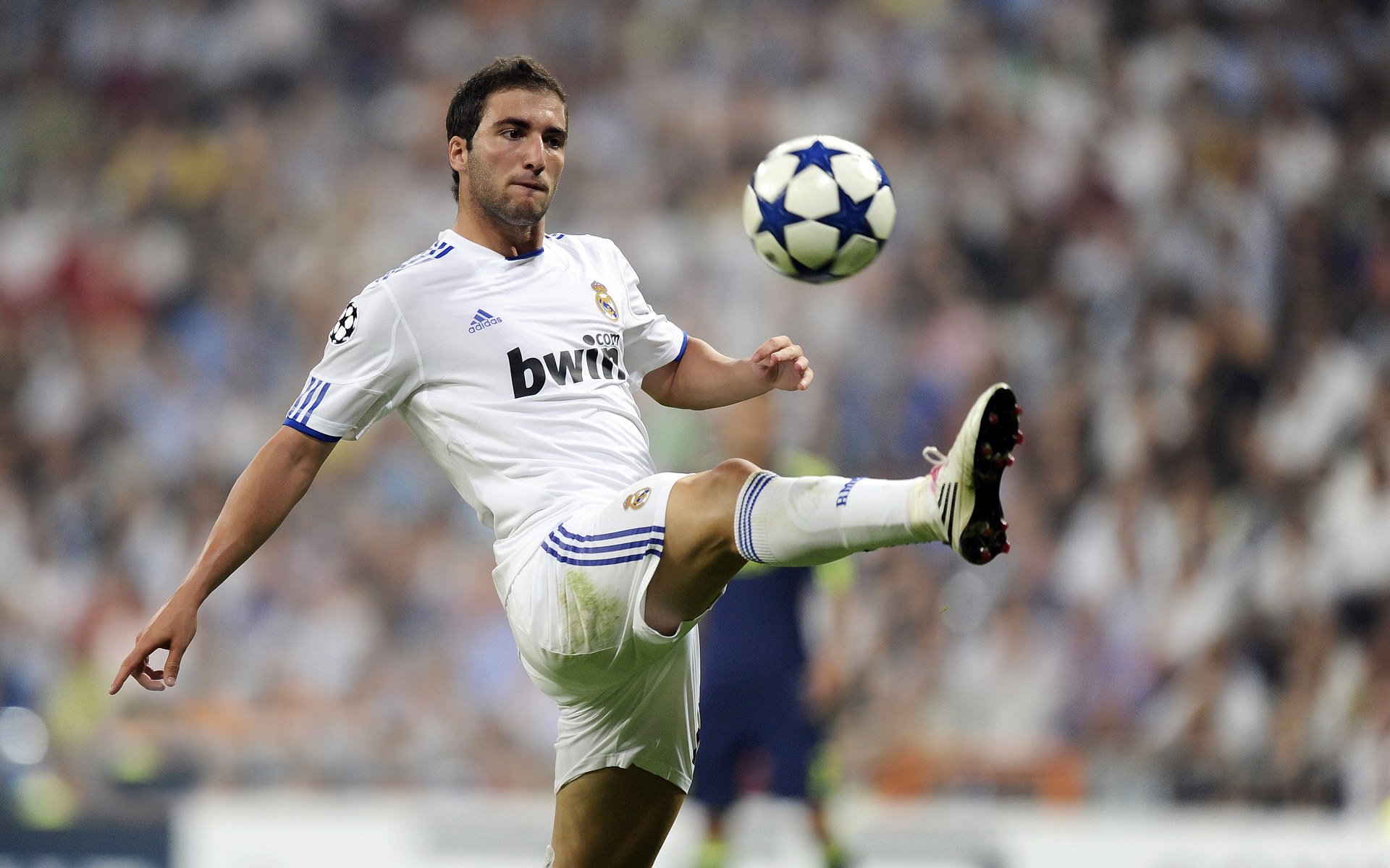 中国足球国家队备战世界杯预选赛全面展开，中国足球队 世界杯预选赛