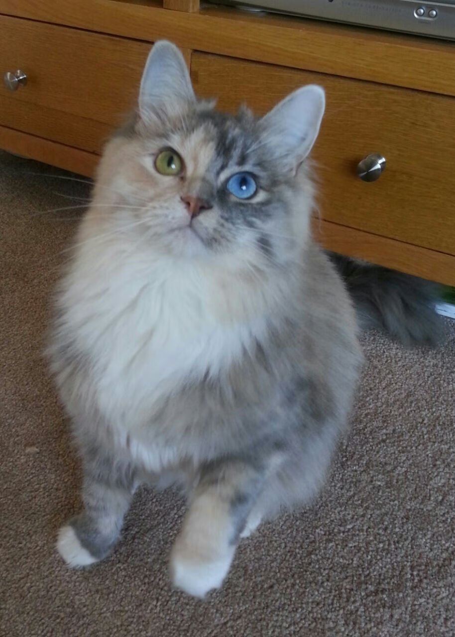 爱游戏体育APP下载-_赛事全纪录：那些令人难忘的瞬间_，比赛中最难忘的一件事