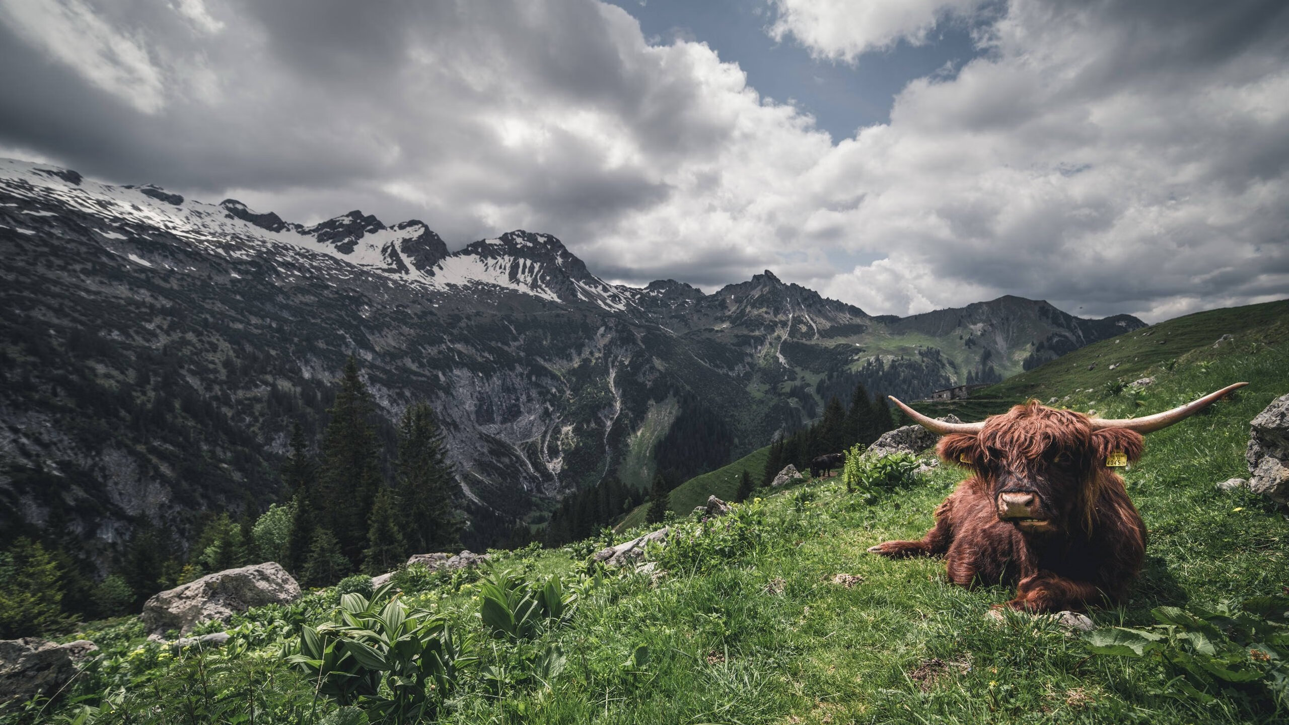 “中国足球超级联赛吸引更多商业合作伙伴”,中国足协超级联赛
