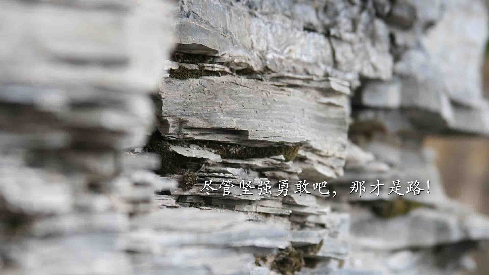 “德甲豪门鏖战，争夺榜首战火不断”，德甲落魄豪门