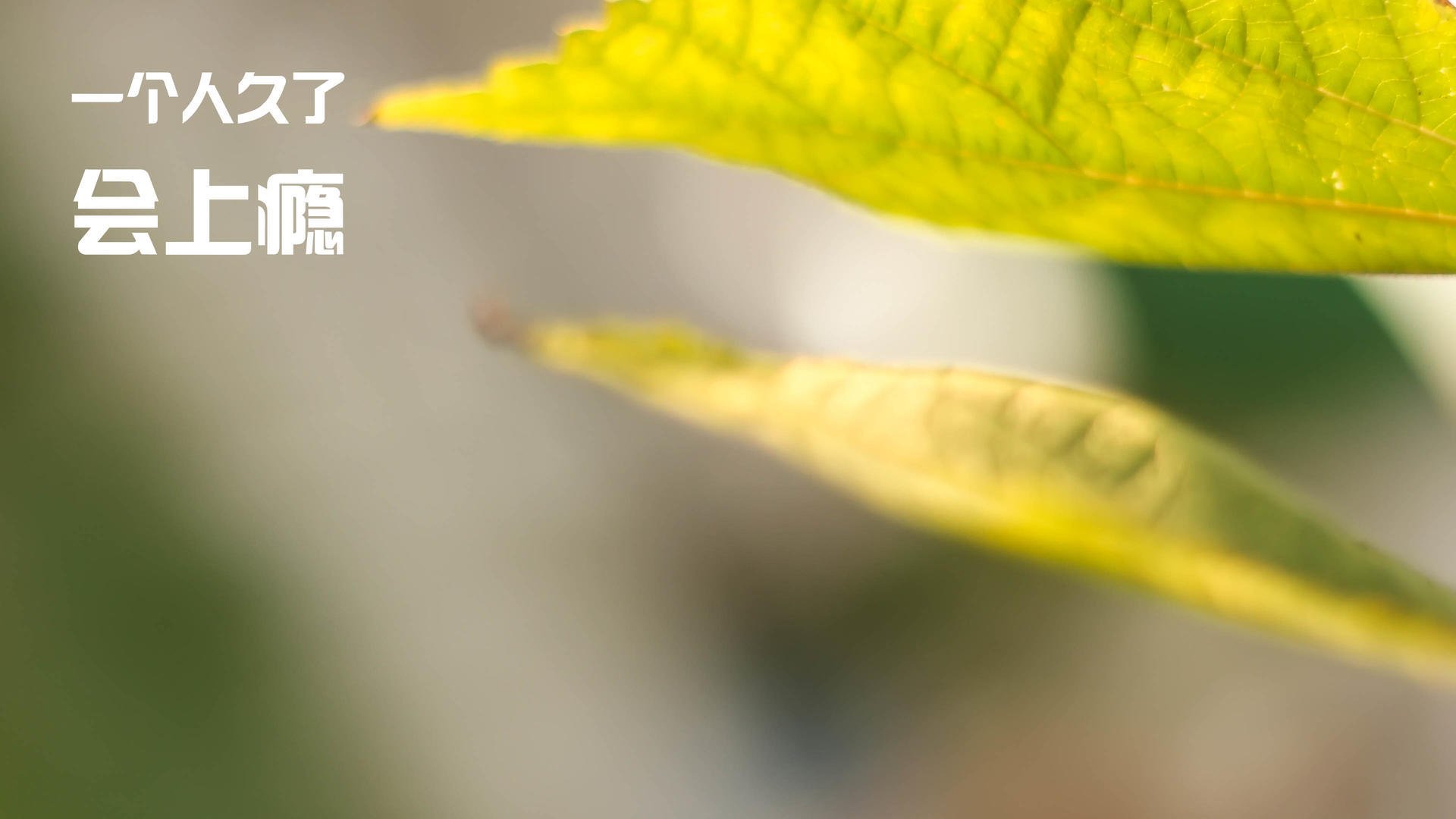 爱游戏-《CS_GO线上争霸赛，冠军悬念激烈角逐》，cs线上竞技平台